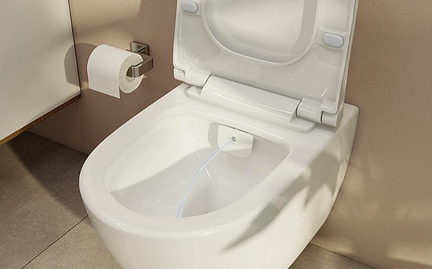 Een toiletbidetsysteem is een doorontwikkelde versie van het verticale sproeibidet