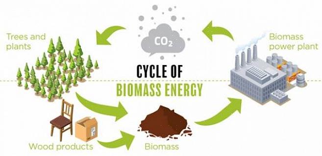 Biomassabrandstof kan door verbranding direct worden omgezet in warmte-energie