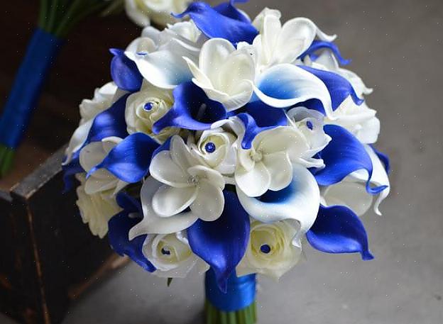 Blauwe dendrobium-orchideeën