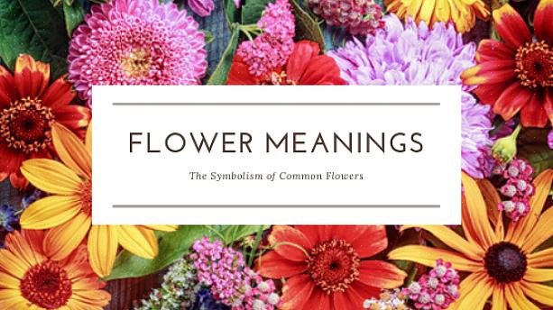 De eerste regel voor het geven van bloemen aan uw partner is te weten