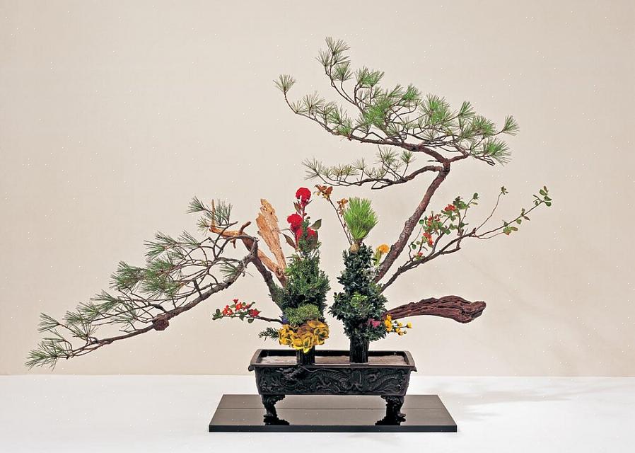De kunst van ikebana kan bekeerlingen maken van mensen die ooit dachten dat bloemstukken te kieskeurig