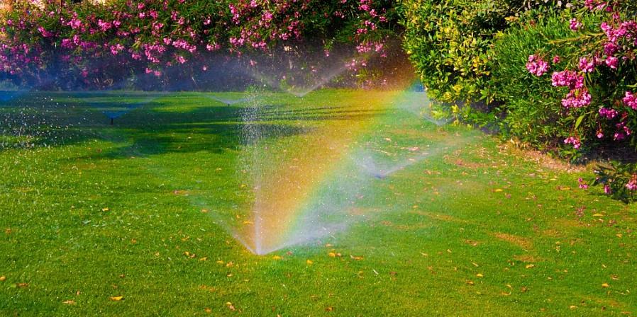 Kijk dan in de klepdozen van het sprinklersysteem rond de tuin