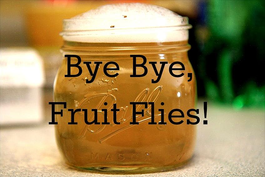 Kun je fruitvliegjes ook vangen door een stuk overrijp fruit in een open plastic zak te doen