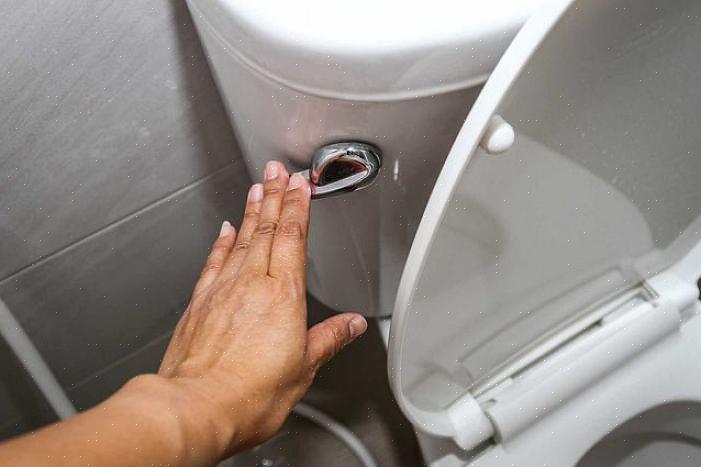 Een kopje of een kleine kom werkt om water uit een toiletpot of tank te halen