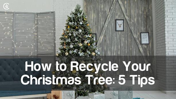 Snijd lange takken van uw kerstboom met takkenschaar of snoeischaar