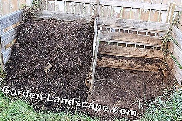 In wezen is compost afgebroken organisch materiaal dat vaak wordt gebruikt als bodemverbeteraar om organisch