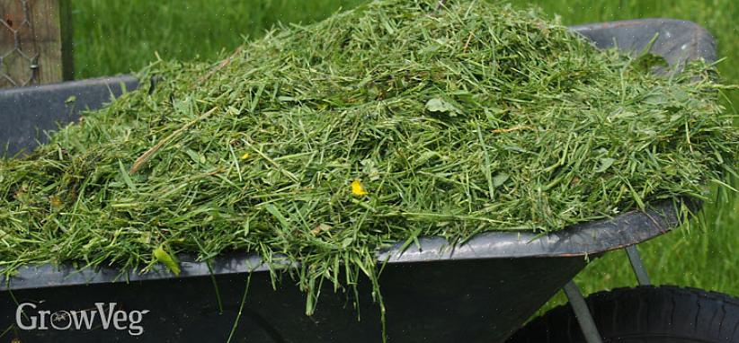 Voegen gemaaid gras waardevol organisch materiaal toe aan de grond