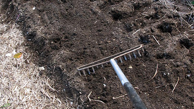 Het toevoegen van organisch materiaal is zonder twijfel dé manier om uw bodem te verbeteren