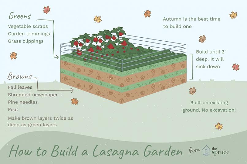 Overzicht Lasagne-tuinieren is een biologische tuiniermethode die niet hoeft te worden gegraven