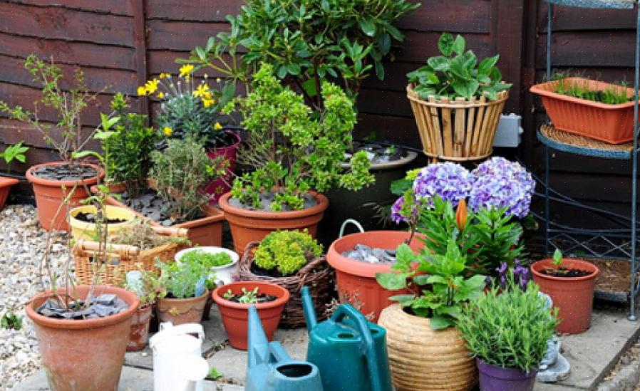 Zodat u planten kunt kweken die mogelijk niet geschikt zijn voor uw natuurlijke tuingrond