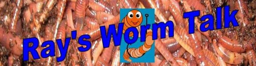 Dezelfde wormen die in uw vermicompostsysteem worden gebruikt