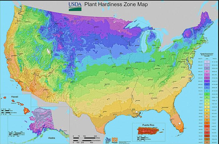 Als u niet zeker weet welke planten het goed doen op uw specifieke locatie in North Carolina