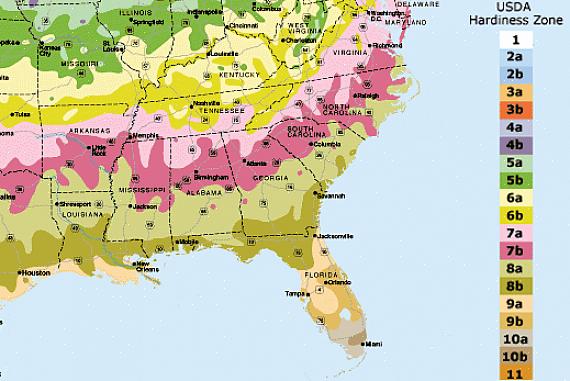 Florida USDA hardheidszones
