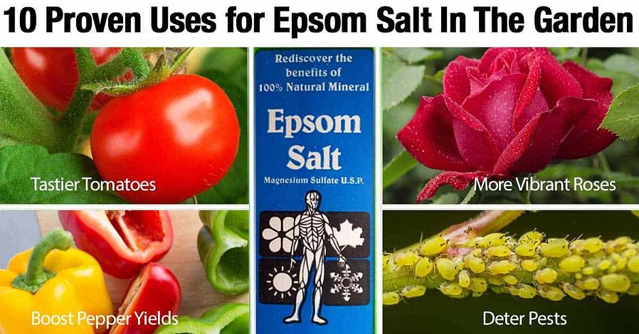 Meng 1 eetlepel Epsom-zout per gallon water