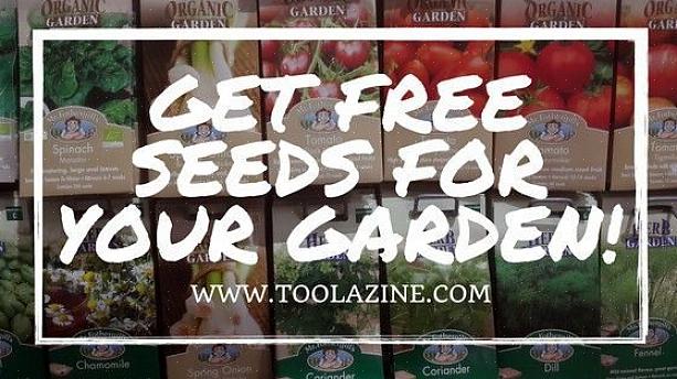 U kunt ook enkele gratis zaden ontvangen als u een gratis zadencatalogus aanvraagt