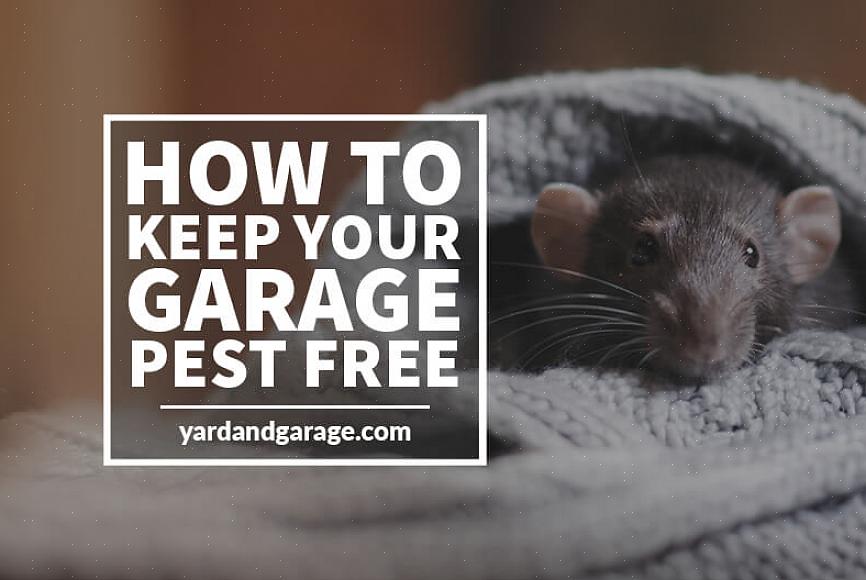 Dus schop uzelf niet te hard als uw garage een kakkerlakprobleem krijgt