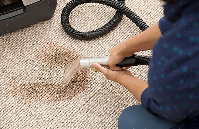 Hoe vaak een tapijt moet worden schoongemaakt