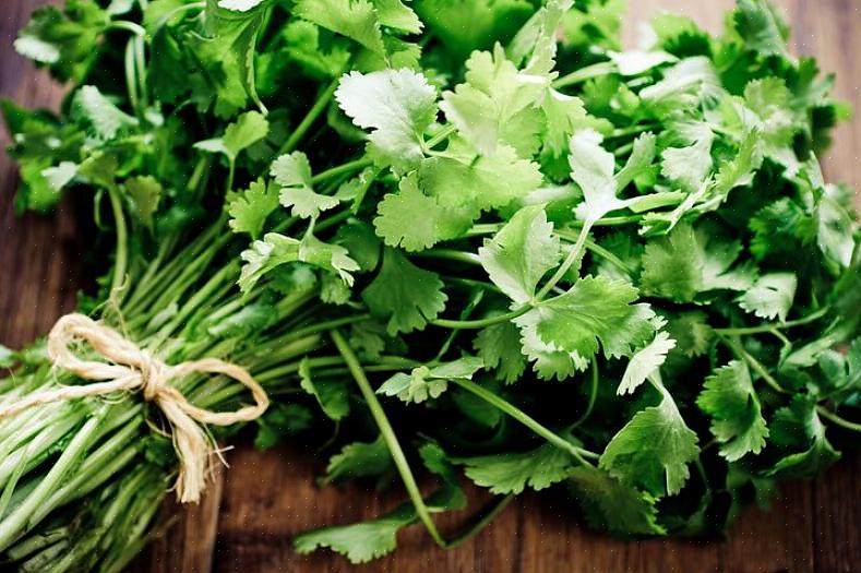 Cilantro lijkt qua uiterlijk op platte peterselie