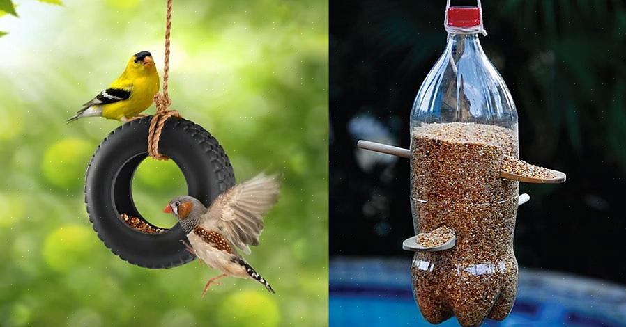 Een geweldig familieproject voor vogelliefhebbers is om van een gewone plastic fles van 2 liter