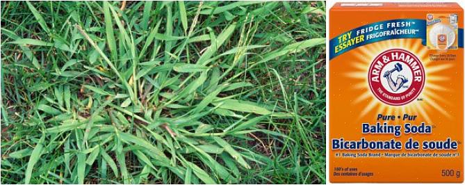 Pre-emergent herbiciden (ook wel "crabgrass-preventers" genoemd) zijn verkrijgbaar in korrelvorm