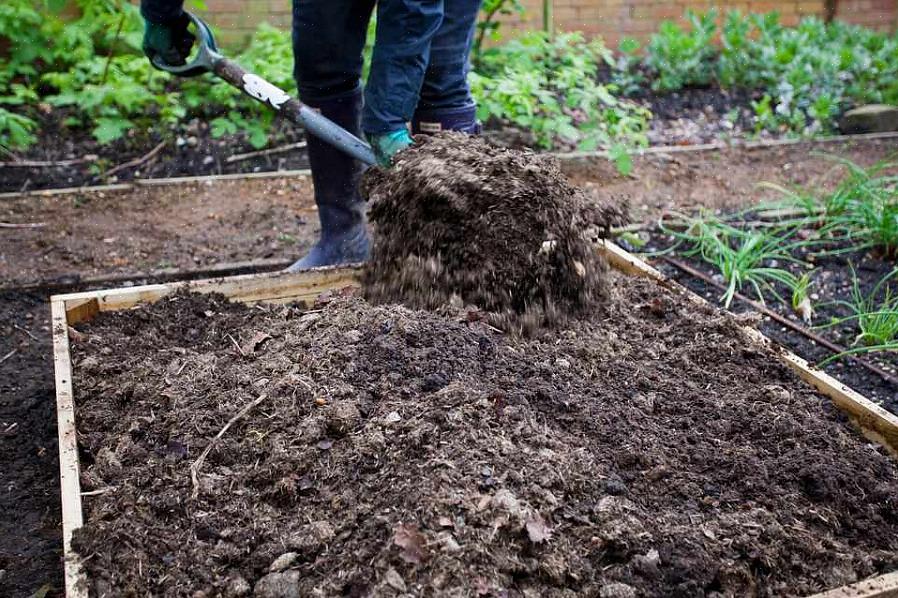 Dierlijke mest is een organisch materiaal dat vaak wordt gebruikt om tuingrond te verbeteren