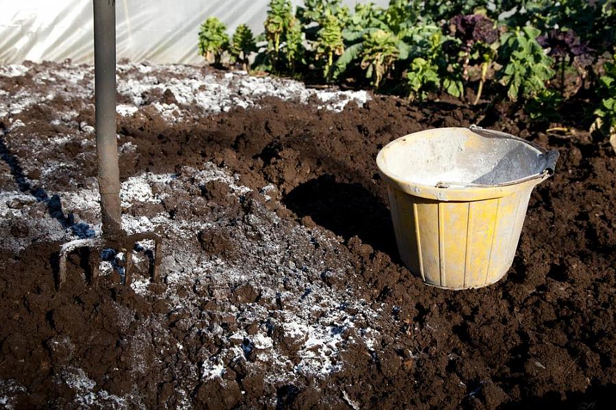 Het kan in de grond rond de basis van planten worden gegraven om het zwavelgehalte in de grond te verhogen