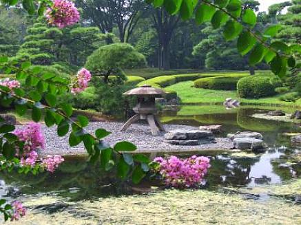 Het maken van een Zen-tuin is een manier om een meditatieve ruimte in de tuin te creëren
