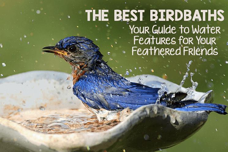 Het toevoegen van een of meer waterpartijen aan uw tuin zal snel vogels aantrekken