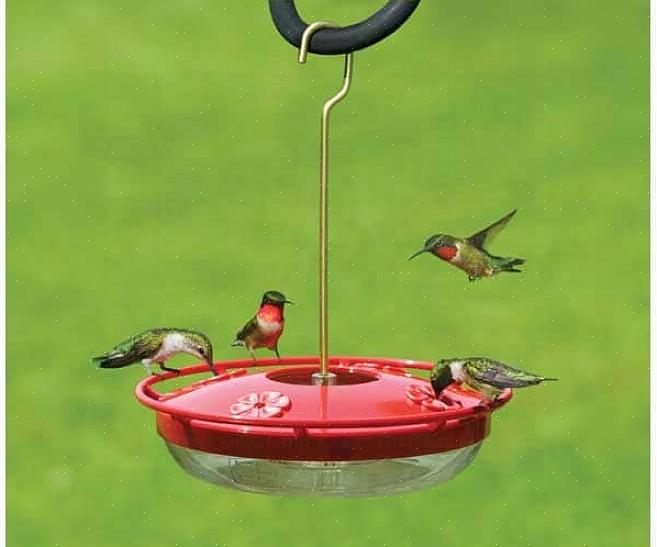 Wordt de nectar verspild omdat vogels het niet van de grond zullen drinken