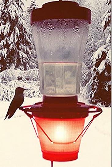 Er zijn verschillende trucs die kunnen helpen voorkomen dat kolibrie-nectar zelfs bij het koudste weer