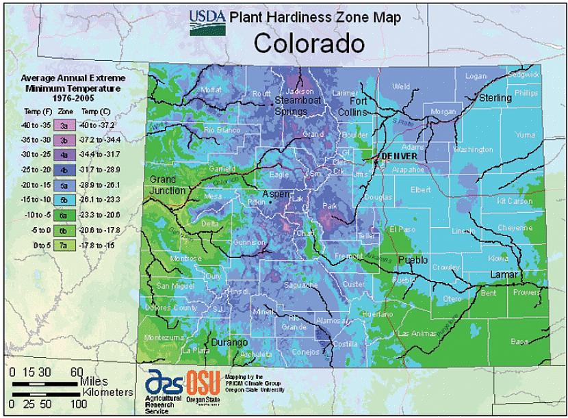 Je kunt de kaart downloaden op de USDA-site voor planthardheidskaarten of je kunt je winterhardheidszone