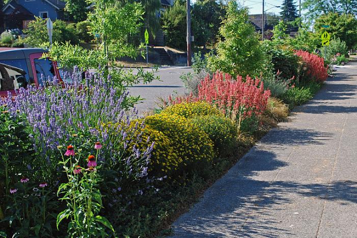 Kan de locatie worden van een adembenemende bloementuin als je de trend van tuinieren met parkeerstroken