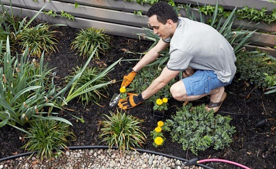 Het eerste slimme idee in een project van onkruidbestrijding zonder chemicaliën in tuinen