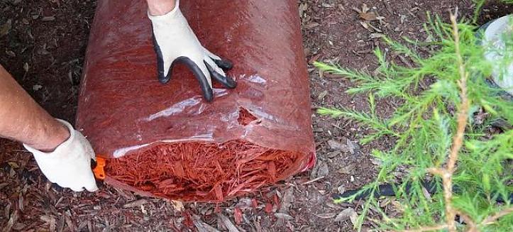 Het juiste gebruik van mulch helpt alle drie deze tuinelementen het hardst voor u te werken