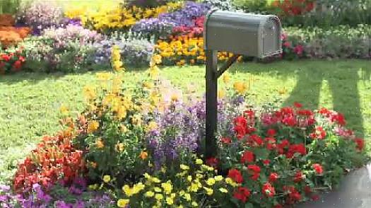 Overweeg naast de grond rond de brievenbus een liaan om op te groeien in de post waarin je brievenbus zit