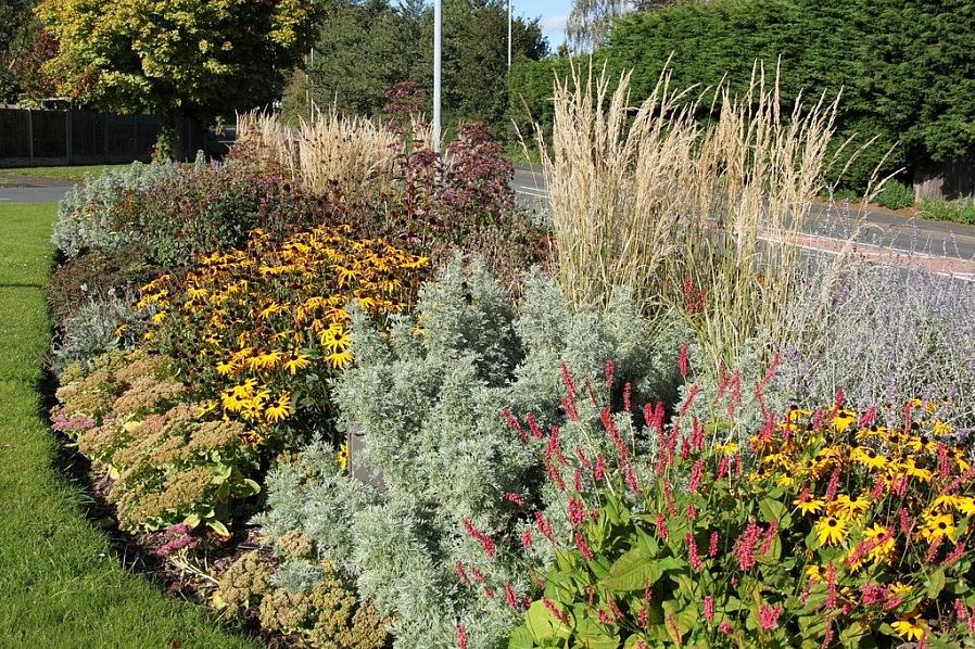 Als u gras moet doden dat dicht bij sierplanten groeit