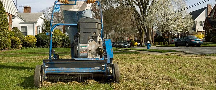 Met "verticuteren" gazons wordt bedoeld het mechanisch verwijderen van een laag dood grasmatweefsel