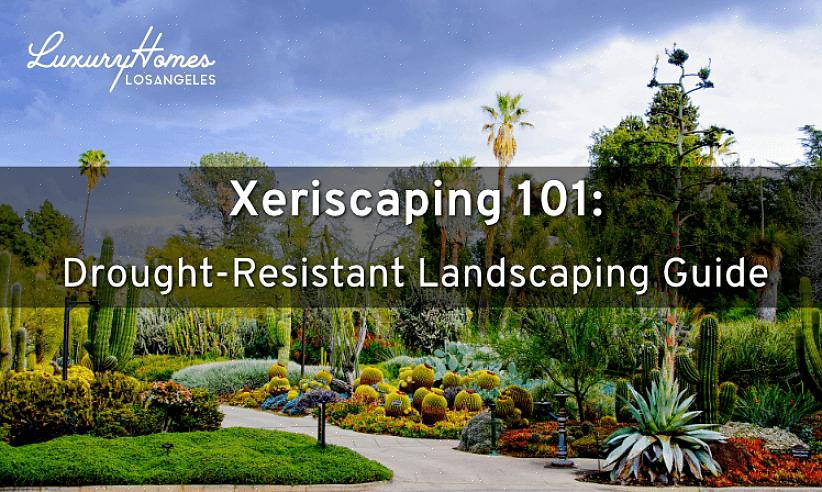 Voor sommige landschapsarchitecten betekent xeriscape-landschapsarchitectuur eenvoudig het groeperen