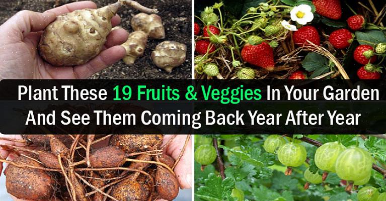 Kijk op de website van Eric Toensmeier over meerjarige groenten