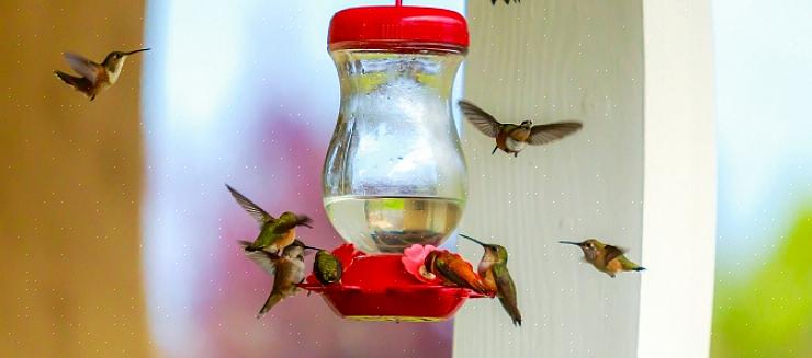 Sommige vogelaars kunnen reserve-feeders beschikbaar hebben