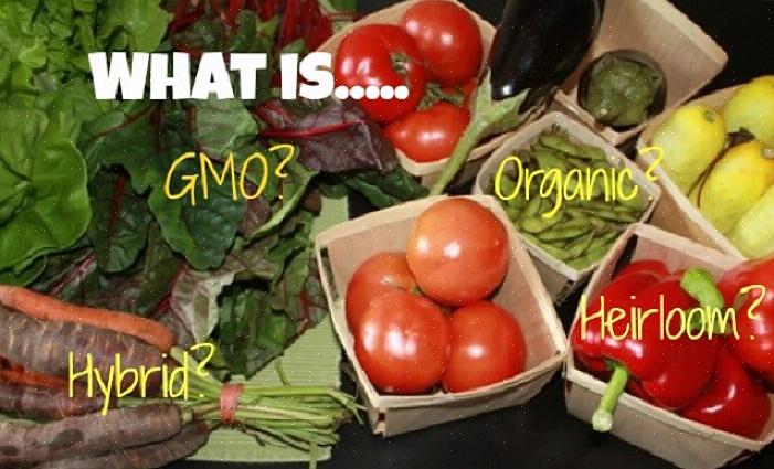 Hoe weet je zeker dat de hybride groentezaden die je kweekt niet genetisch gemodificeerd