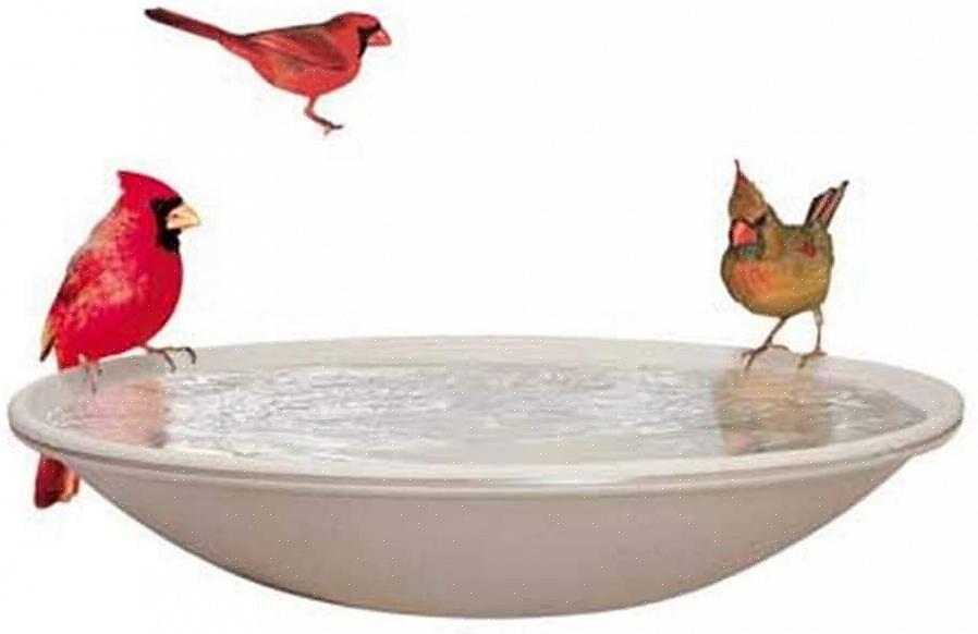 Door op de juiste manier een verwarmd vogelbad te gebruiken