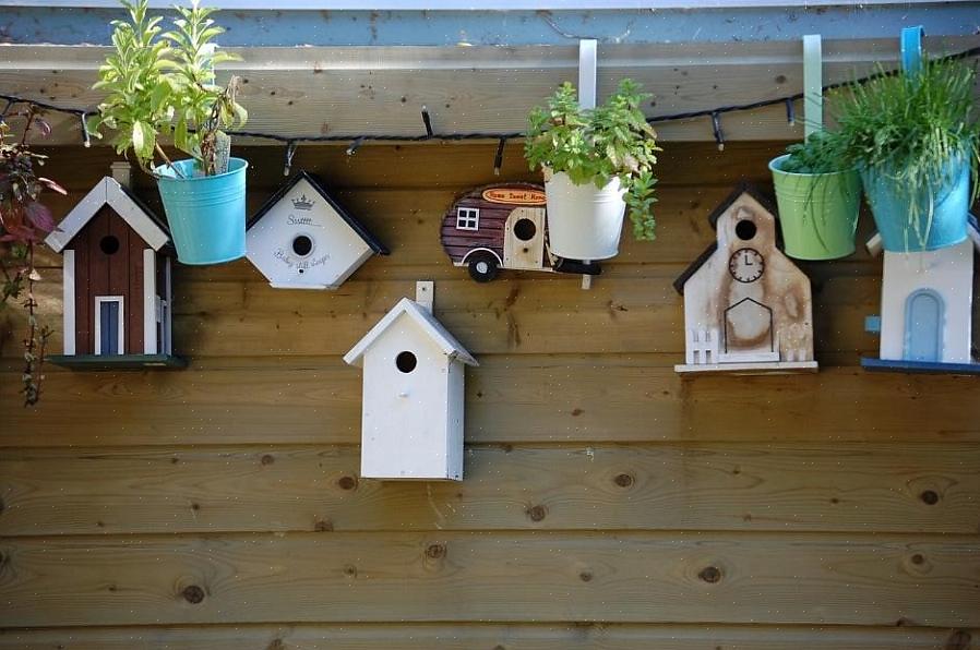 Vogelhuiskits zijn een geweldige optie voor het bouwen van een vogelhuisje als je niet veel vaardigheid hebt