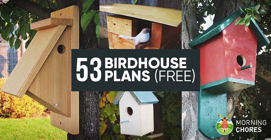 Het is gemakkelijk om een vogelhuisje te bouwen als u profiteert van de verschillende gratis