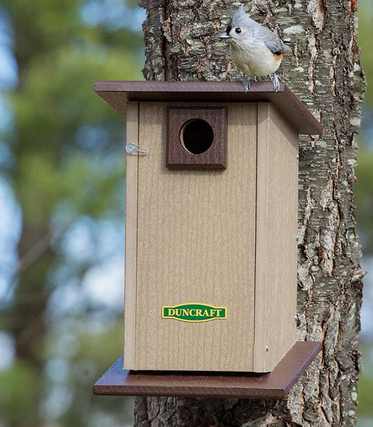 Het bieden van natuurlijke beschutting in de achtertuin is een ideale manier om vogels naar een veilige