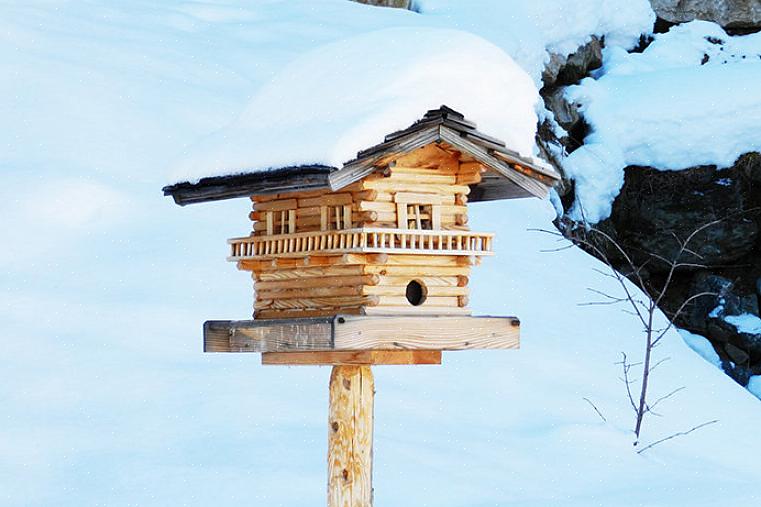Er zijn veel manieren om wintervogels een veilige schuilplaats te bieden